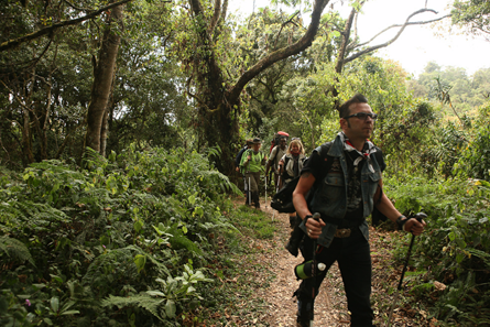 User-Contributed Media 18756 None