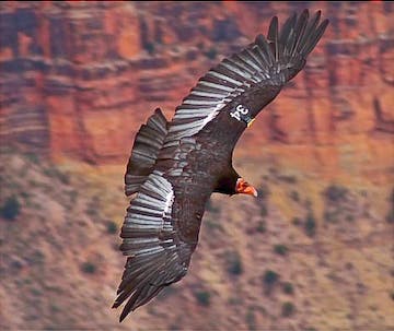 User-Contributed Media 18766 None