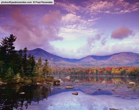 slideshow paul rezendes final 10 445x260