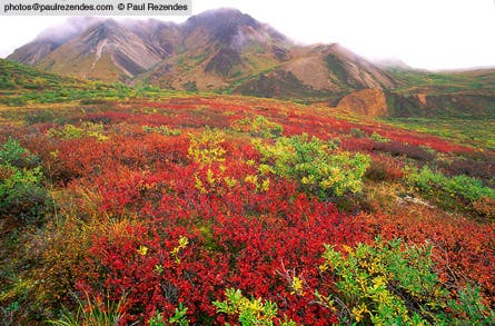 Slideshow Paul Rezendes Final 4 445x260 18964 slideshow paul rezendes final 4 445x260