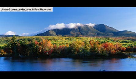 slideshow paul rezendes final 5 445x260