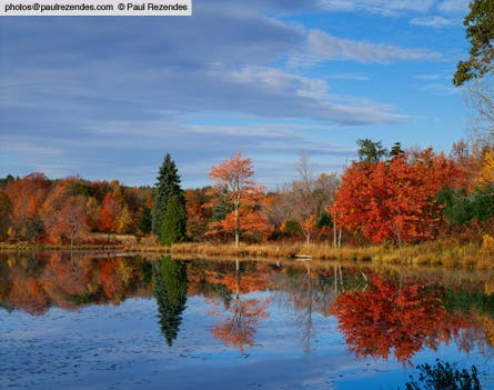 Slideshow Paul Rezendes Final 6 445x260 18966 slideshow paul rezendes final 6 445x260