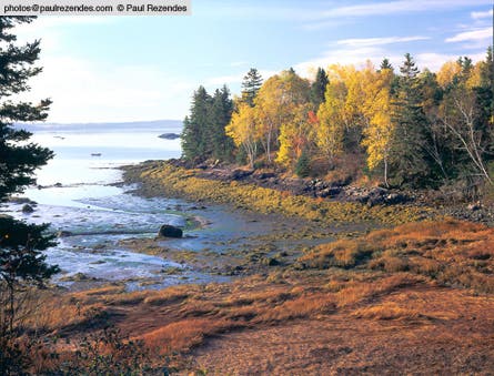 slideshow paul rezendes final 9 445x260