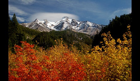 "slideshow reader fall photo 1 445x260"