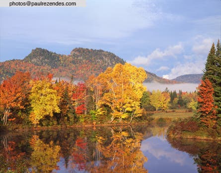 User-Contributed Media 18924 None