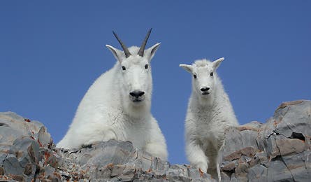 User-Contributed Media 19044 None