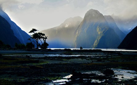 1 New Zealand Milfor Sound ContestJessica Bar None