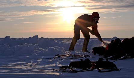 8 Great Slave Lake Can 445x260 Contest Nick Sweeting None