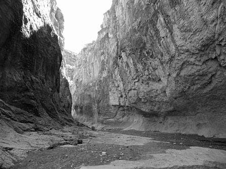 User-Contributed Media 19881 None