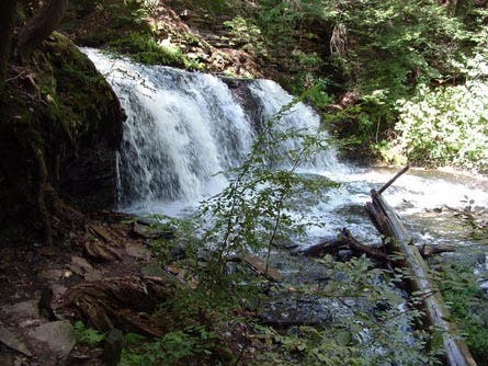 Hike of the Day: Falls Trail Loop in Pennsylvania