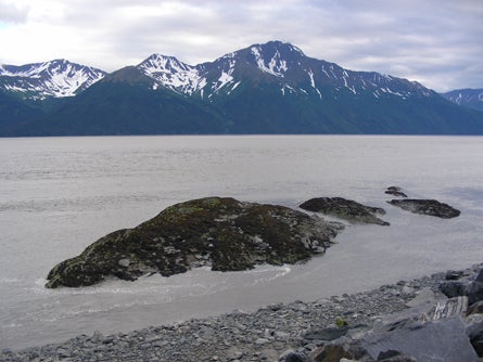 1 High tides on the way to Kenai Fjords NP Ted Alvarez None