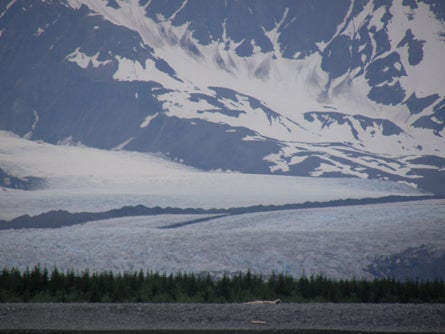 14 Bear Glacier is rapidly receding near tidewater Ted Alvarez None