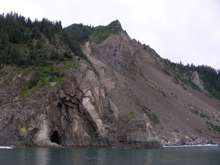 15 Bald eagles roost along the caves and cliffs Ted Alvarez None