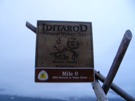 4 The Iditarod race begins in Seward Ted Alvarez None