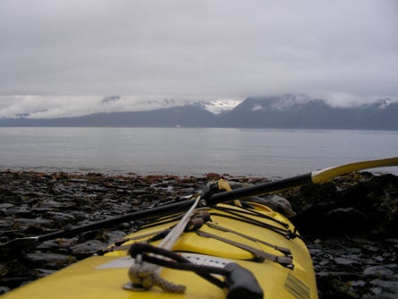 6 Kenais Resurrection Bay offers superb kayaking Ted Alvarez None