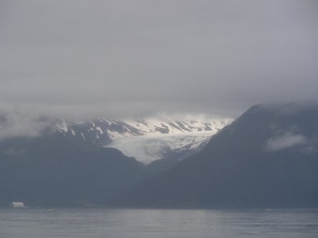 7 An anonymous glacier appears across the bay Ted Alvarez None