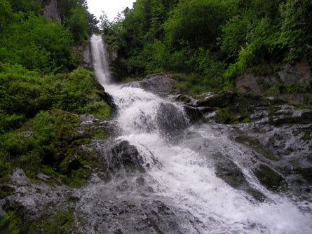 8 Kenais densely forested interior hides steep waterfalls Ted Alvarez None