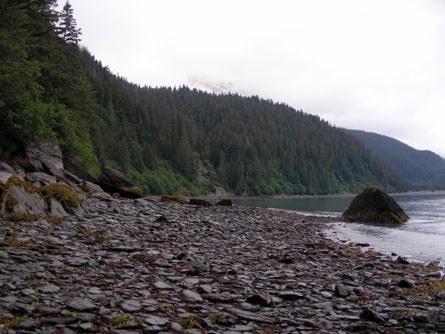9 Beaches are lonely even in good weather Ted Alvarez None