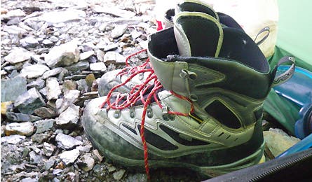 User-Contributed Media 20043 None