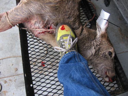 User-Contributed Media 20102 None