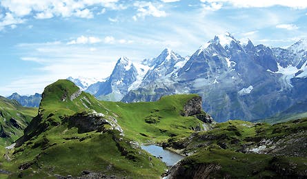 2010 Reader Contest 1 445x260 20305 2010 reader contest 1 445x260