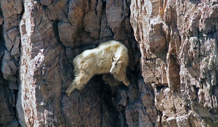 2010 reader contest 10 445x260