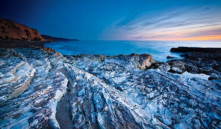 2010 reader contest 2 445x260