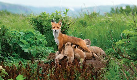 2010 reader contest 5 445x260