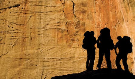 2010 reader contest 7 445x260