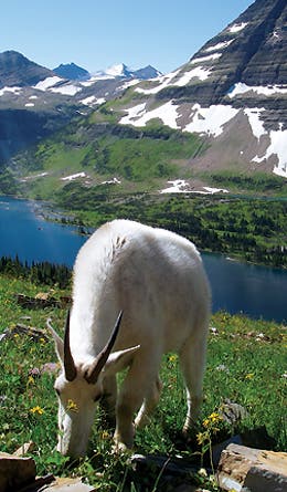 2010 Reader Contest 8 445x260 20312 2010 reader contest 8 445x260