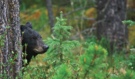 2010 Reader Contest 9 445x260 20313 2010 reader contest 9 445x260