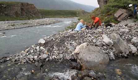 Harlin Alaska 11 445x260 20200 harlin_alaska_11_445x260