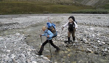 harlin_alaska_12_445x260