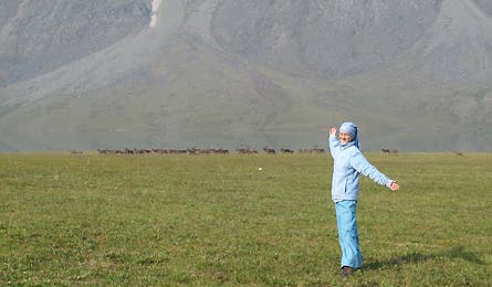 Harlin Alaska 2 445x260 20193 harlin_alaska_2_445x260