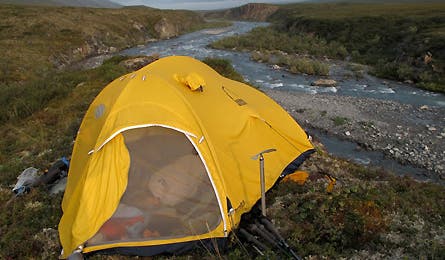 Harlin Alaska 4 445x260 20199 harlin_alaska_4_445x260