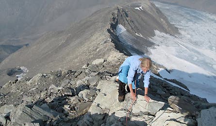 Harlin Alaska 7 445x260 20196 harlin_alaska_7_445x260