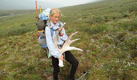 harlin_alaska_9_445x260