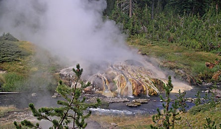 "mr bubbles yellowstone np 445x260"