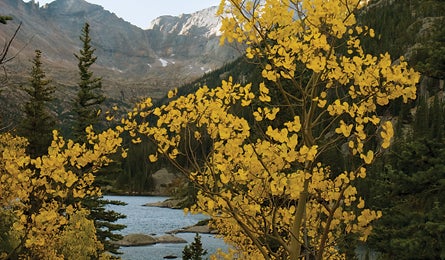 "mtnwest rc mills lake 445x260"