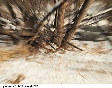 Photo Blog Zoomburst 1 22716 None