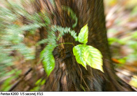 Photo Blog Zoomburst 3 22717 None