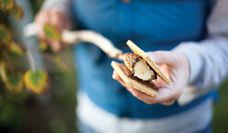 rc trail chef smores 445x260