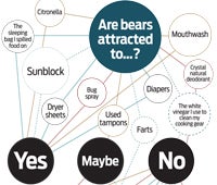 "rc bear fear 200x170"