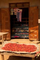 User-Contributed Media 20162 None