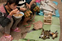 User-Contributed Media 20167 None