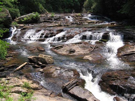 Hike of the Day: Georgia's Panther Creek Trail