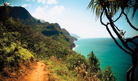 "west rc kalalau_445x260"