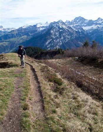 10 Altdorf to Engelberg 350x450 Dorn None