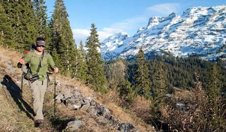 17. Engelberg to Meiringen 445x260 Dorn None