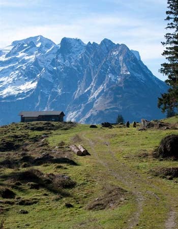 18. Engelberg to Meiringen 350x450 Dorn None